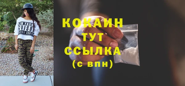 мдпв Верхний Тагил