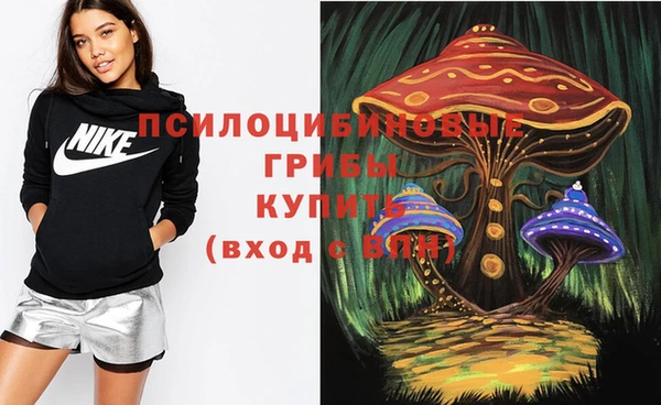 мдпв Верхний Тагил