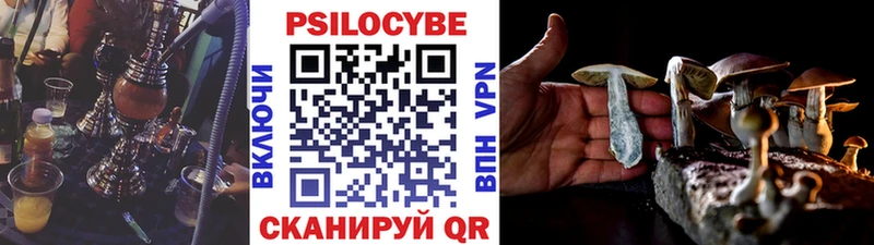 Купить закладки  Усть-Катав  Галлюциногенные грибы GOLDEN TEACHER 